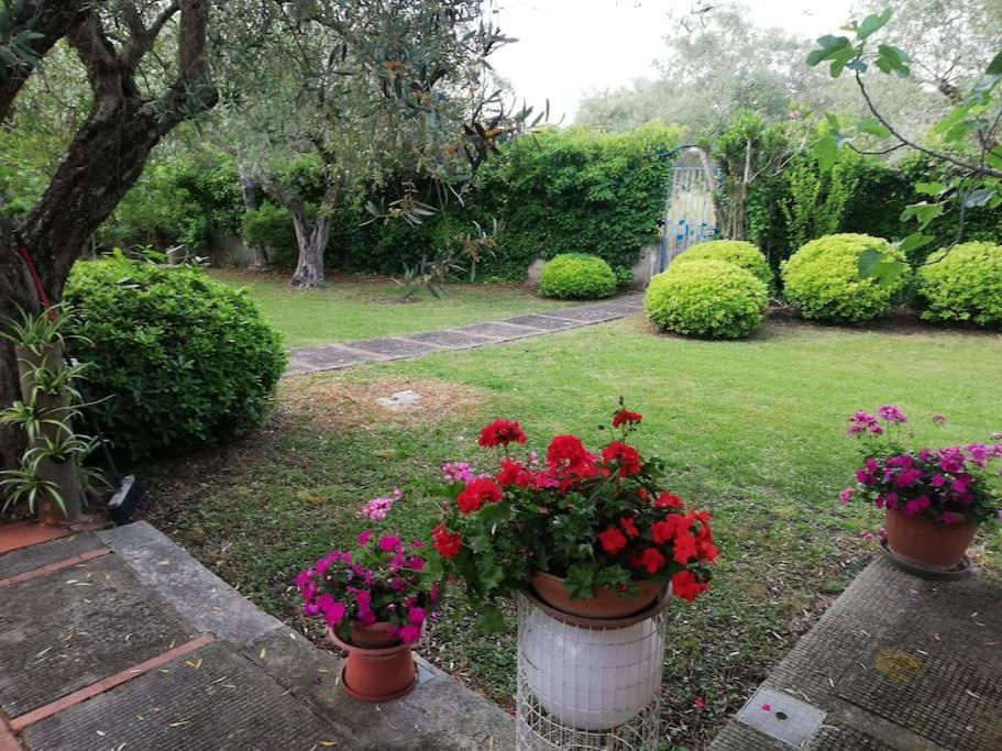 Villa Brezza Capaccio Esterno foto